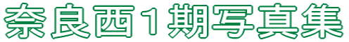 ޗǐPʐ^W